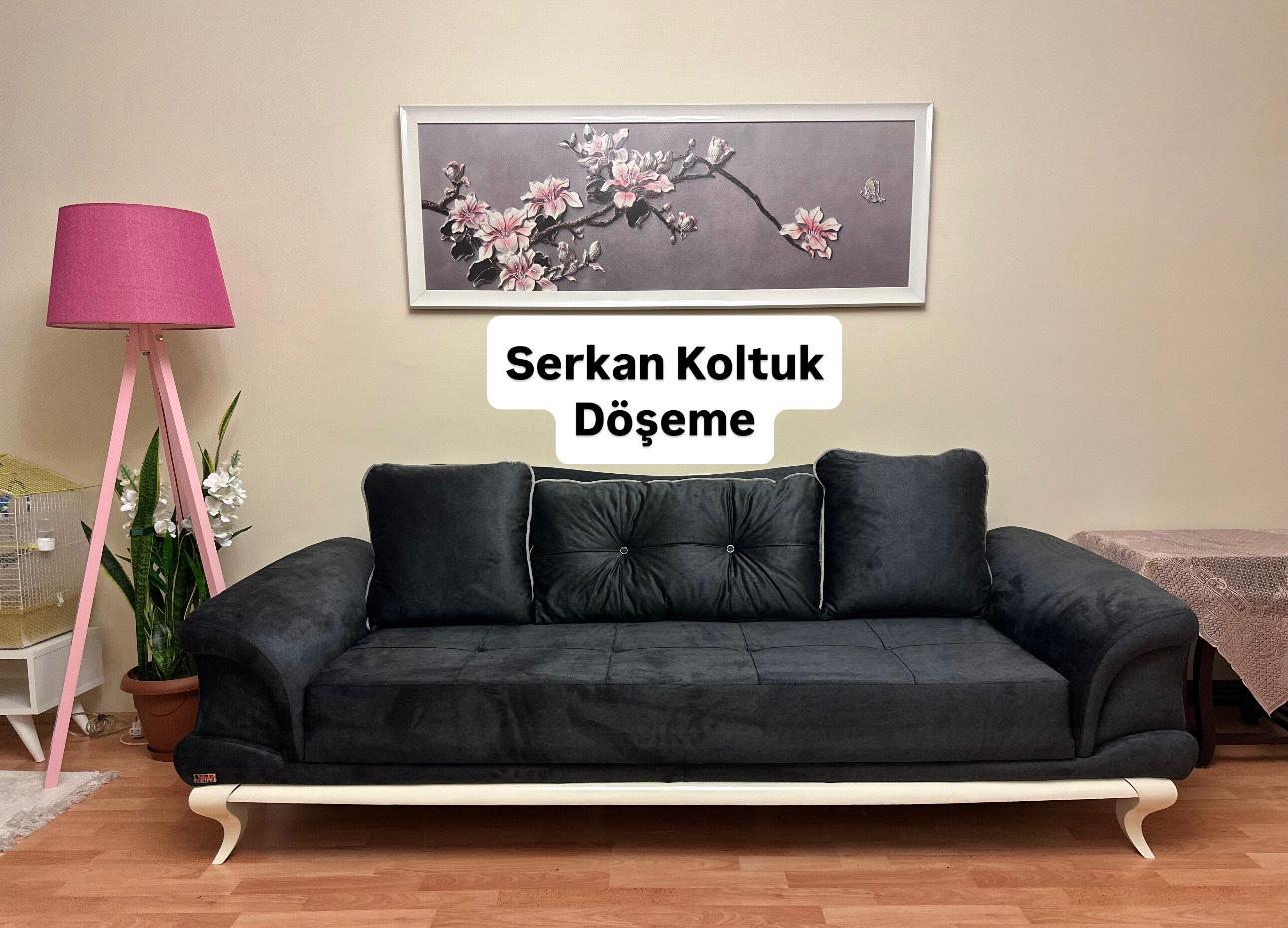 Kayseri Koltuk Tamiri Fiyatları 